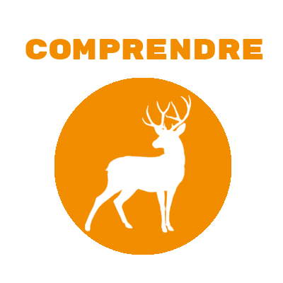 COMPRENDRE