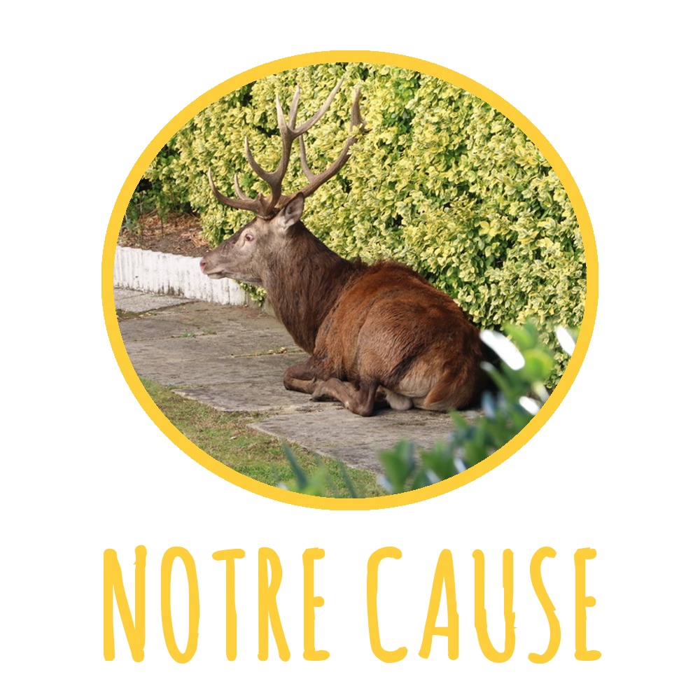 NOTRE CAUSE